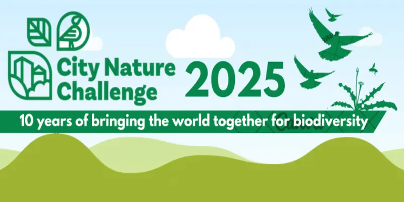 City Nature Challenge